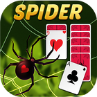 Spider Solitaire иконка