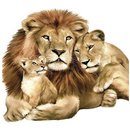 Wild Animals Wallpapers APK