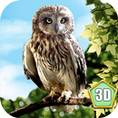 APK Wild Owl Simulator 3D