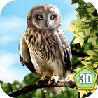 Wild Owl Simulator 3D ícone