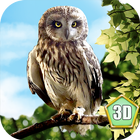 Wild Owl Simulator 3D icon