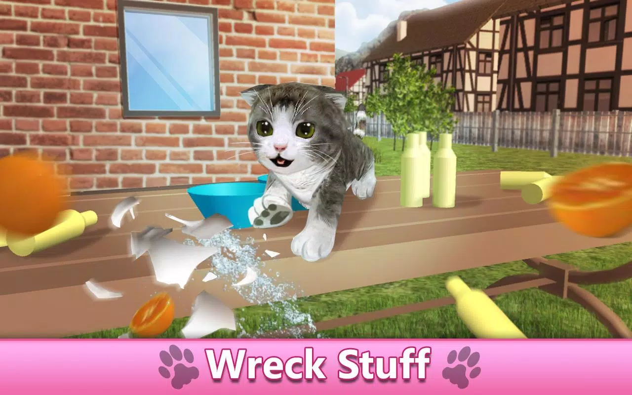 Um simulador de gato foi lançado na Steam e recebeu 100% de avaliações  positivas. Você pode se casar nele e criar uma colônia de gatos