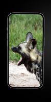 Wild Dogs: African Dogs imagem de tela 2