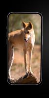 Wild Dogs: African Dogs imagem de tela 3