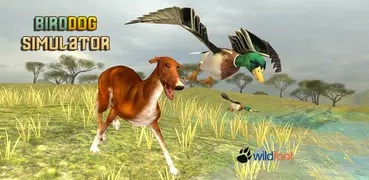 Bird Dog Simulator