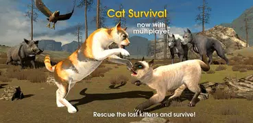 Cat Survival Simulator