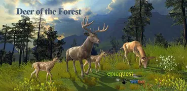 Deer of the Forest