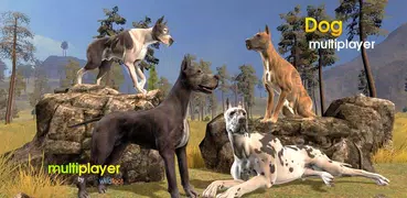 Dog Multiplayer : Great Dane