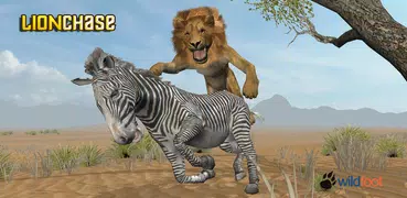 Lion Chase
