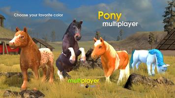 Pony Multiplayer 海報