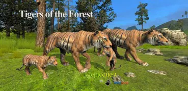 Tigers of the Forest