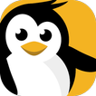 dataplicity - Terminal for Pi biểu tượng