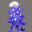 East Texas Wildflowers Zeichen