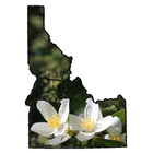Idaho Wildflower Search 圖標