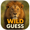 Wild Guess icon