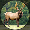 Wild Hunt:Hunting Rival APK