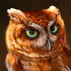 The Owl biểu tượng