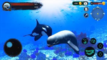 The Beluga Whale ポスター