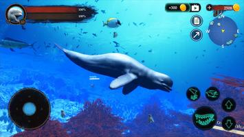 The Beluga Whale captura de pantalla 1