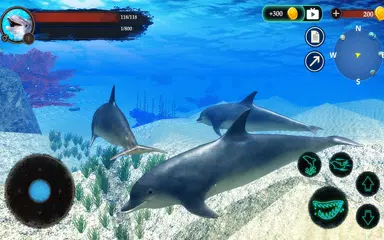 The Dolphin XAPK Herunterladen