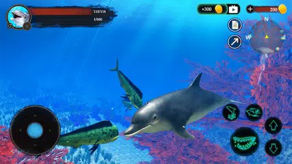 The Dolphin XAPK Herunterladen