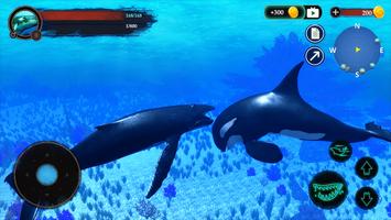 The Humpback Whales ポスター