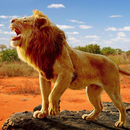 The Lion APK