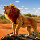 The Lion simgesi