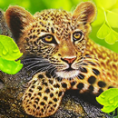 The Leopard APK