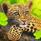 Le léopard icône