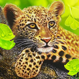 Le léopard icône