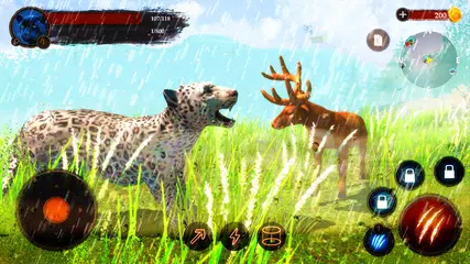 Descargar XAPK de El leopardo