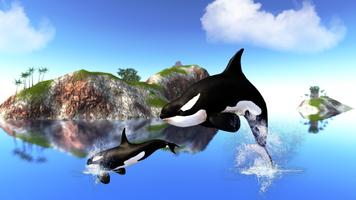 The Killer Whale Plakat