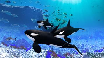 برنامه‌نما The Killer Whale عکس از صفحه