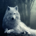 The Wolf Zeichen