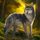 The Wolf Simulator ikon
