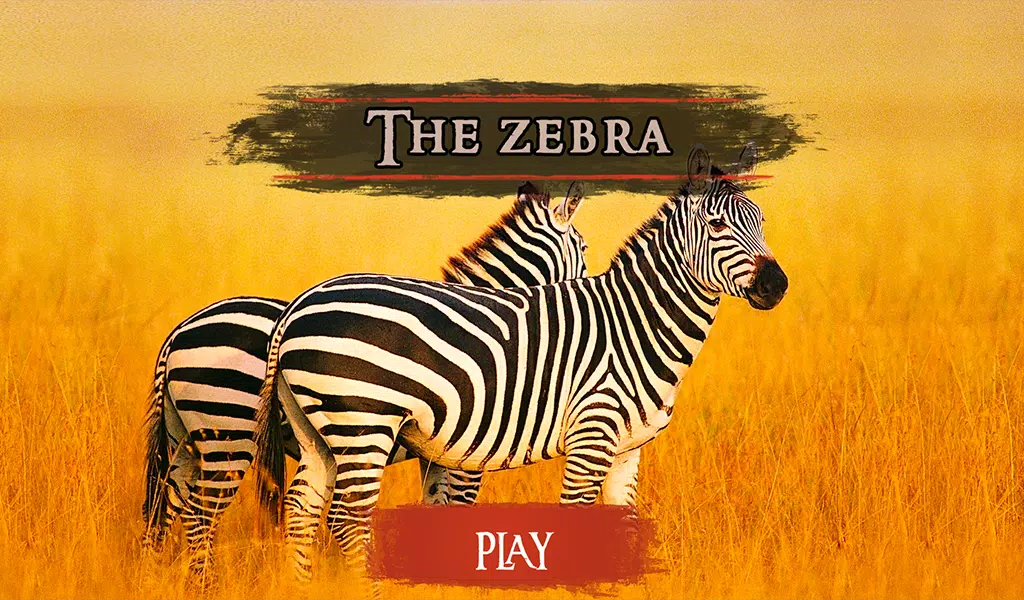 The Zebra