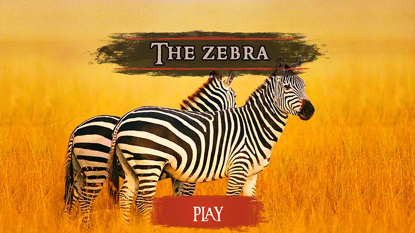 The Zebra