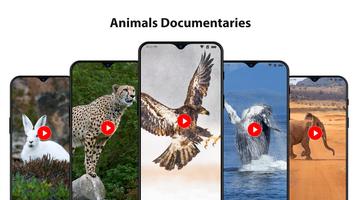 Animal Documentary Online - Wild Documentaries Affiche