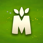 Zen Match icono