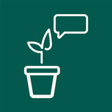 Willow APK