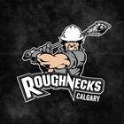 Calgary Roughnecks icône