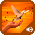 Oraciones Poderosas en Audio