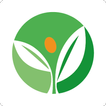 آیکون‌ Corse EcoHabitat