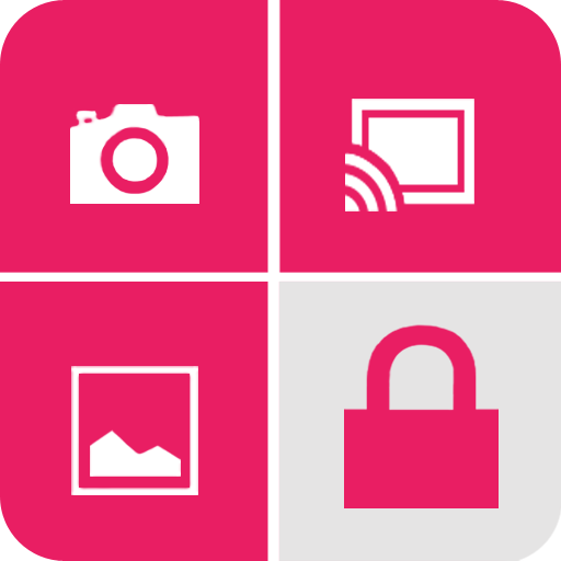 Gallery Video Vault - Free