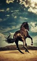 500 Amazing Horse Pictures HD скриншот 2