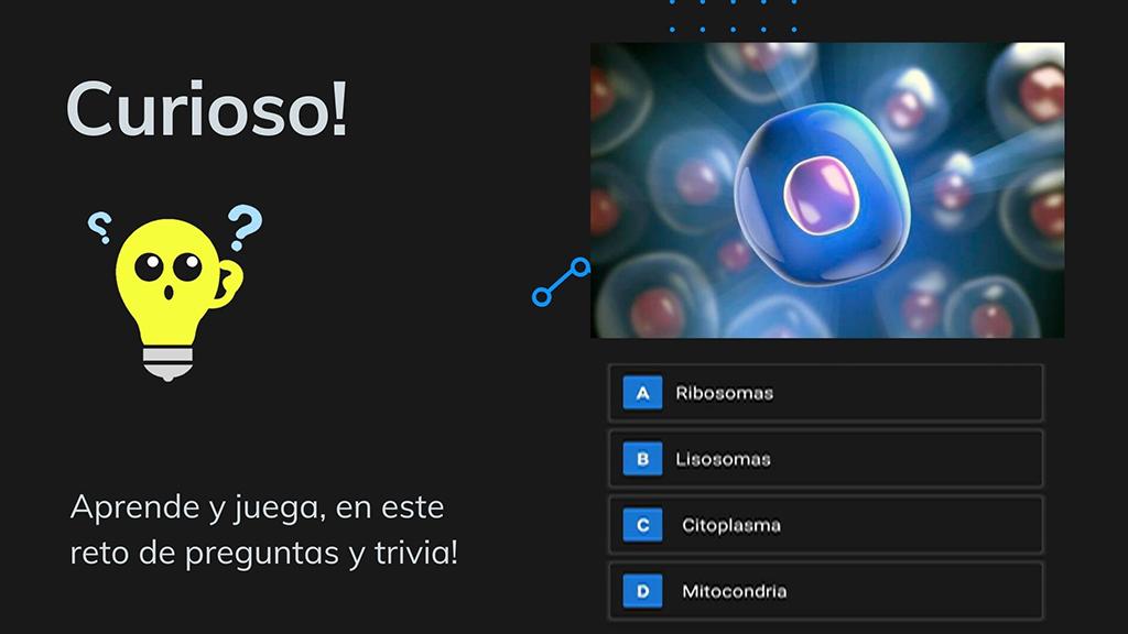 Quiz Historia do Brasil APK برای دانلود اندروید