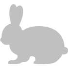 Silver Rabbit icône