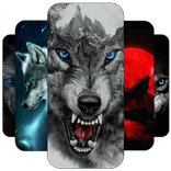 Wolf Wallpapers