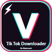 Video Downloader for TikTok -  APK